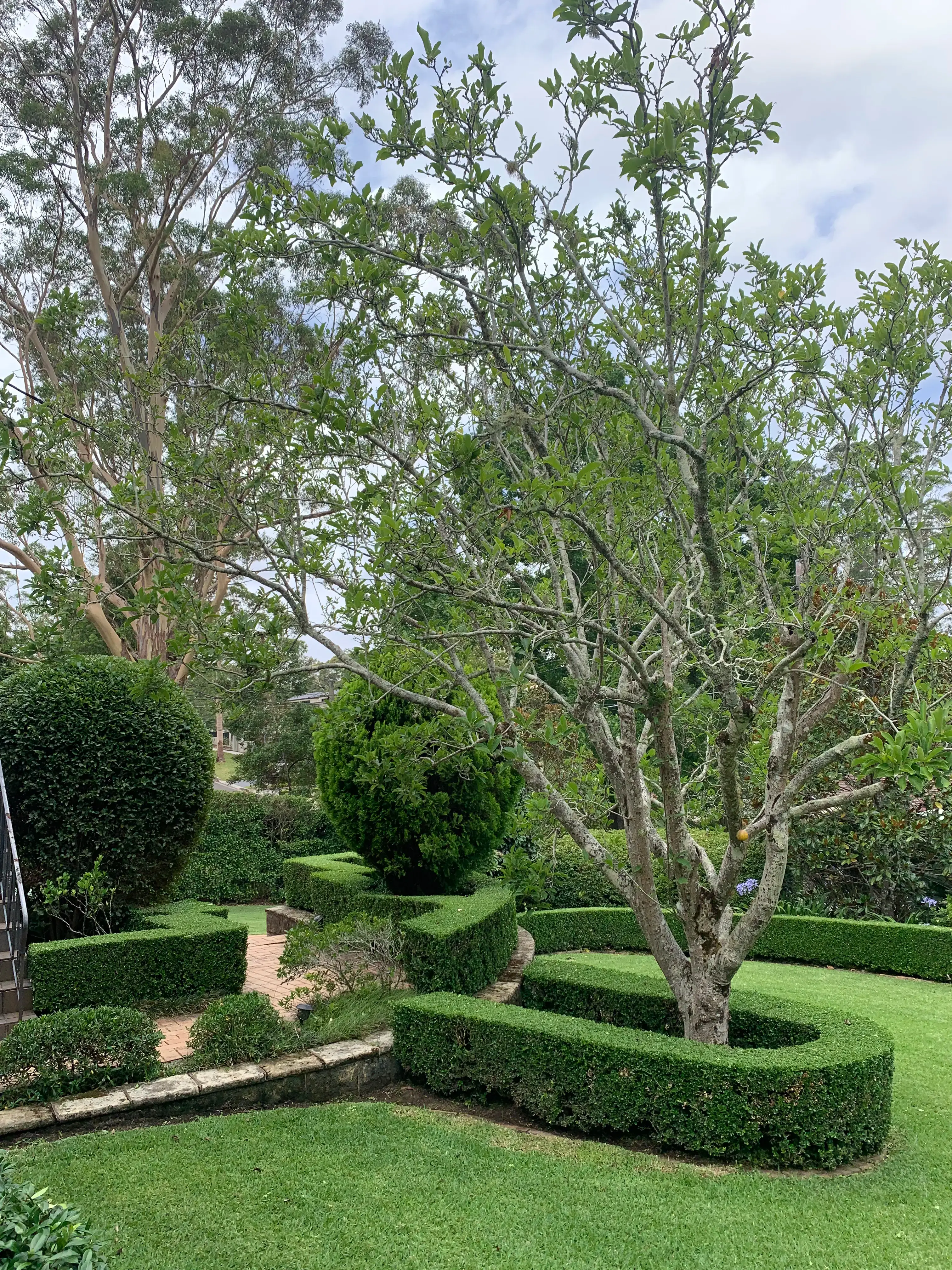 Garden maintenance work