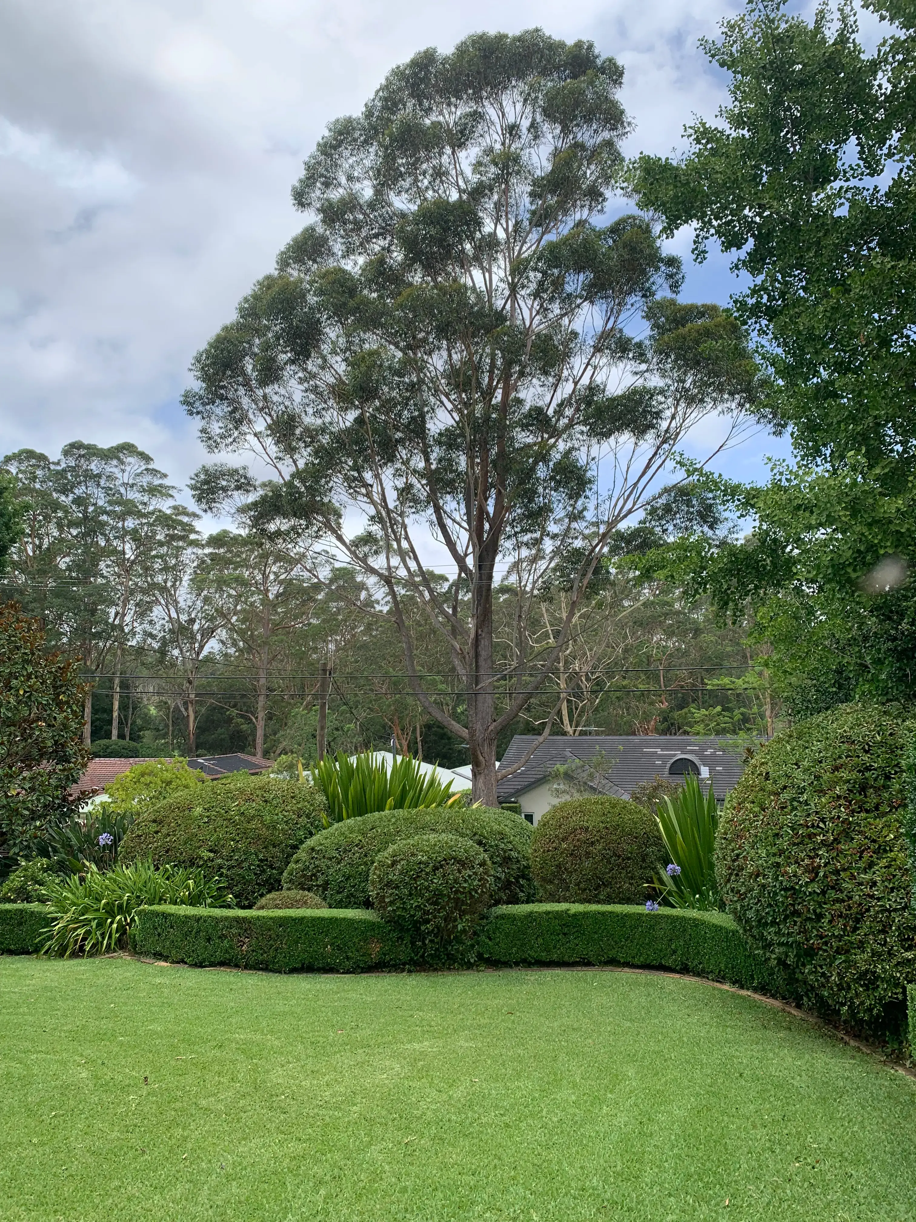 Garden maintenance work